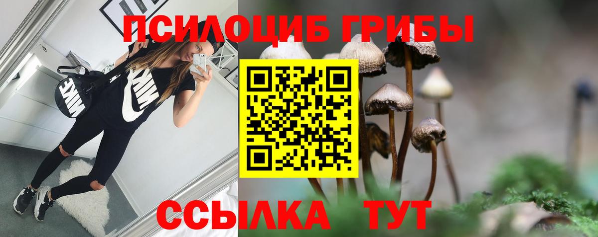 Усть-Илимск  Псилоцибиновые грибы GOLDEN TEACHER  Вход с VPN 